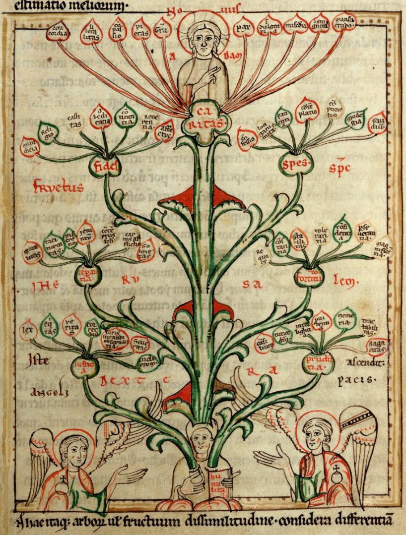 Speculum Virginum, Baum der Tugenden (13. Jh. Abtei Himmeroth), Walters Art Museum Ms. W.72, fol. 26r